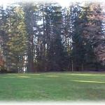 field
