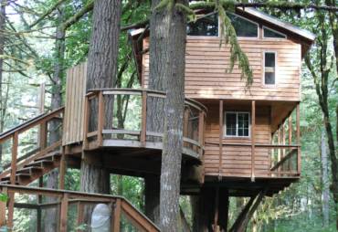 Tree House