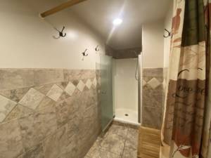 LOWER LEVEL SHARED BATHROOM IMG_7901