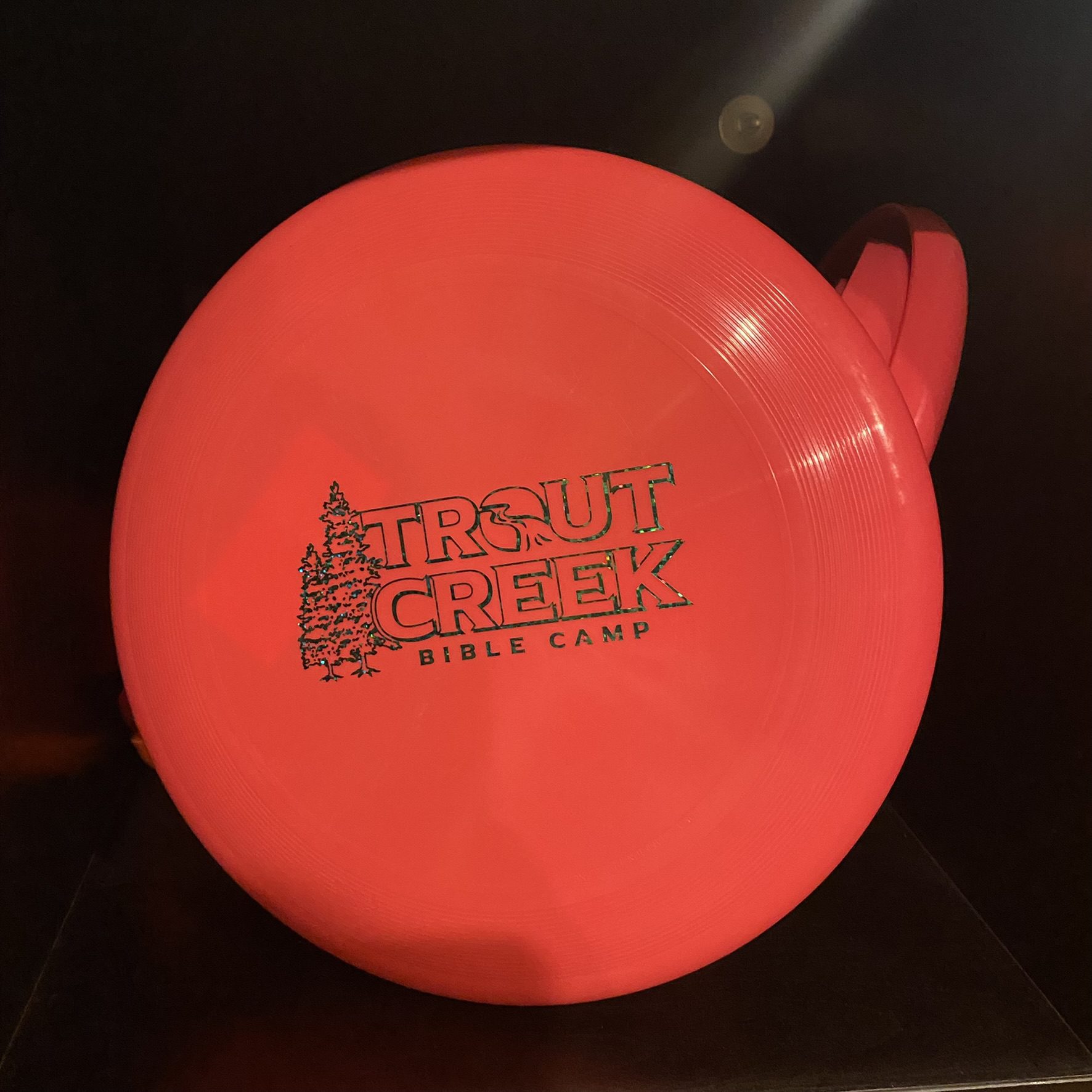 Frisbee